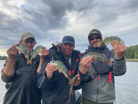 Voyage de pêche en Suède