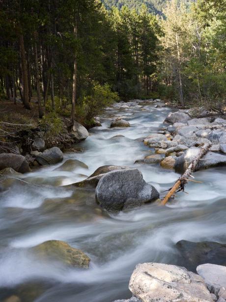Examen de l’objectif Hasselblad 55 mm F2.5