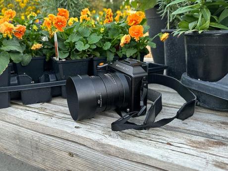 Examen de l’objectif Hasselblad 55 mm F2.5