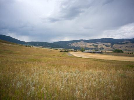 Examen de l’objectif Hasselblad 55 mm F2.5