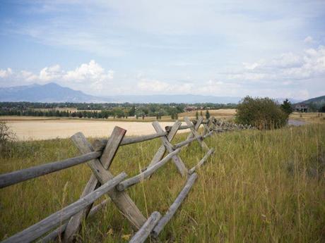 Examen de l’objectif Hasselblad 55 mm F2.5
