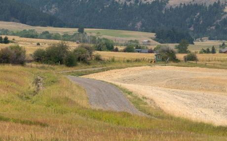 Examen de l’objectif Hasselblad 55 mm F2.5