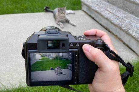 Examen de l’objectif Hasselblad 55 mm F2.5