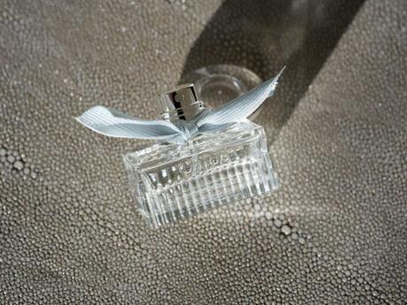 Examen de l’objectif Hasselblad 55 mm F2.5