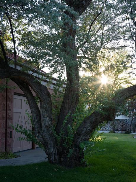 Examen de l’objectif Hasselblad 55 mm F2.5