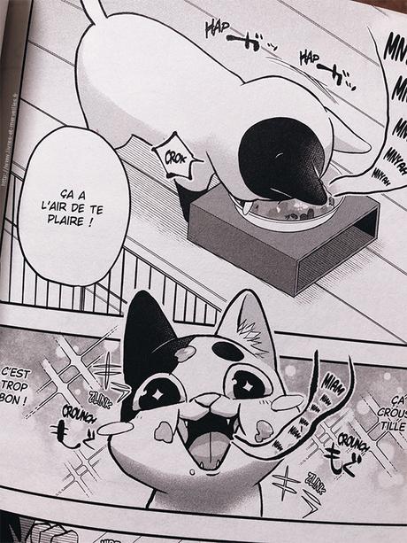 Manga seinen : chat de Yakuza Manga seinen : chat de Yakuza