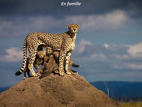 Divers - Le bon angle 