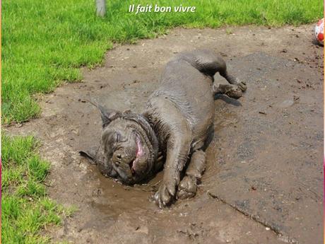 Divers - Le bon angle 