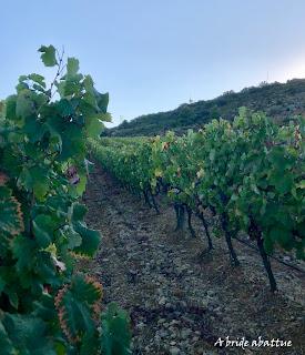 Découverte du Domaine du Château de Lastours