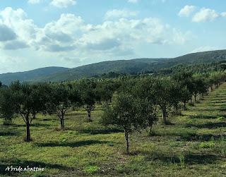Découverte du Domaine du Château de Lastours