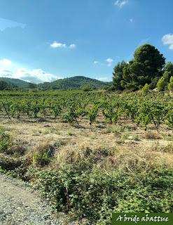 Découverte du Domaine du Château de Lastours