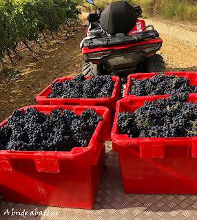 Découverte du Domaine du Château de Lastours