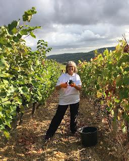 Découverte du Domaine du Château de Lastours