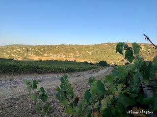 Découverte du Domaine du Château de Lastours