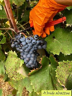 Découverte du Domaine du Château de Lastours