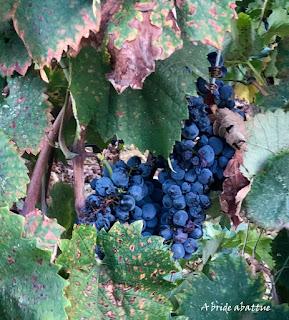 Découverte du Domaine du Château de Lastours