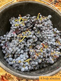 Découverte du Domaine du Château de Lastours