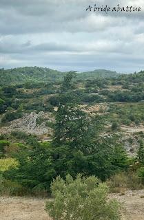 Découverte du Domaine du Château de Lastours