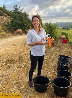 Découverte du Domaine du Château de Lastours