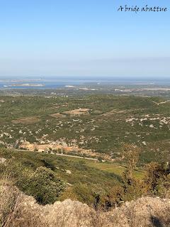 Découverte du Domaine du Château de Lastours