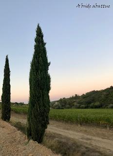 Découverte du Domaine du Château de Lastours