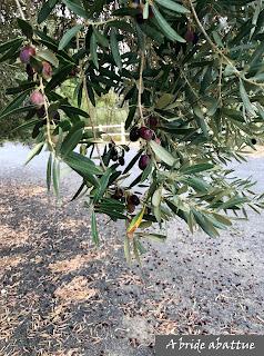 Découverte du Domaine du Château de Lastours