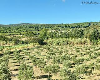 Découverte du Domaine du Château de Lastours