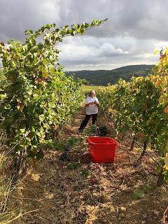 Découverte du Domaine du Château de Lastours