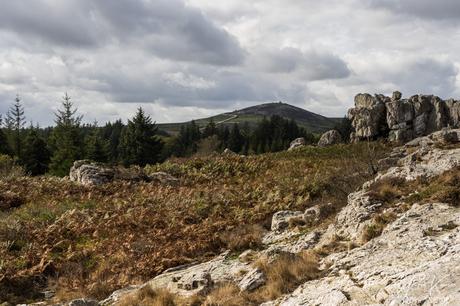 1ère balade dans les Monts d'Arrée après l'incendie du 18 juillet et des jours suivants :la Noce de Pierres - an Eured Vein : le mont St-Michel depuis Roc'h Kleger - à Brasparts