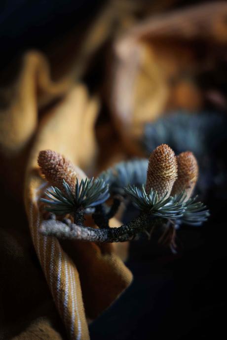 madeleines moelleuses au chocolat gouter de l'enfance, madeleines, moelleux
