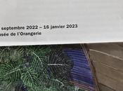 SZAFRAN Obsessions d’un peintre jusqu’au Janvier 2022. Musée l’Orangerie.