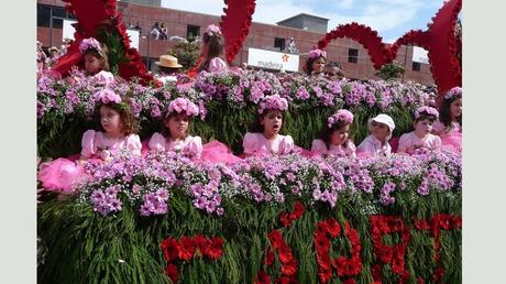 Madère - fête des fleurs 