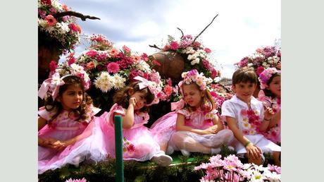 Madère - fête des fleurs 
