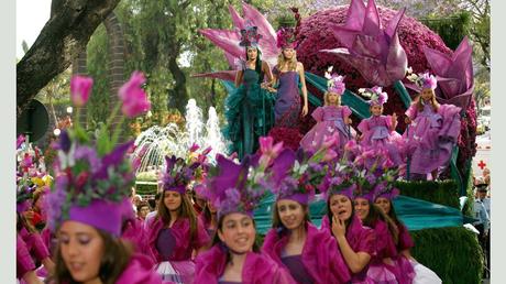 Madère - fête des fleurs 