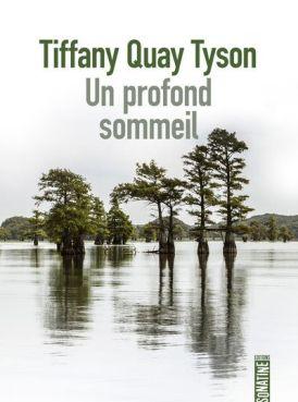 Un profond sommeil de Tiffany Quay Tyson Un profond sommeil de Tiffany Quay Tyson