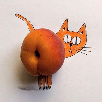Illustrations amusantes par Romain Joly