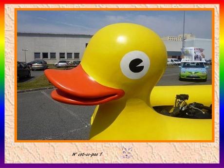 La France - Le tour de France - toute une époque