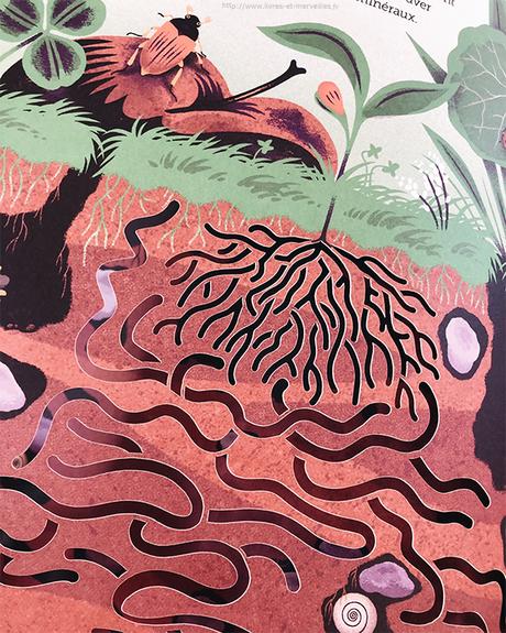 Album jeunesse : Au creux des arbres Album jeunesse : Au creux des arbres