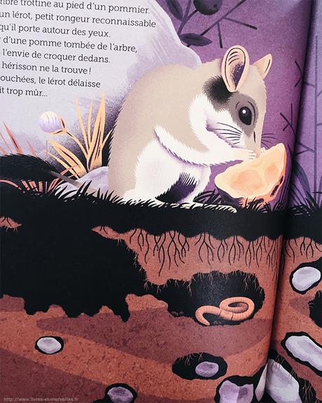 Album jeunesse : Au creux des arbres Album jeunesse : Au creux des arbres