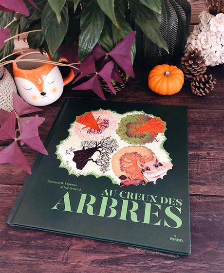 Album jeunesse : Au creux des arbres Album jeunesse : Au creux des arbres