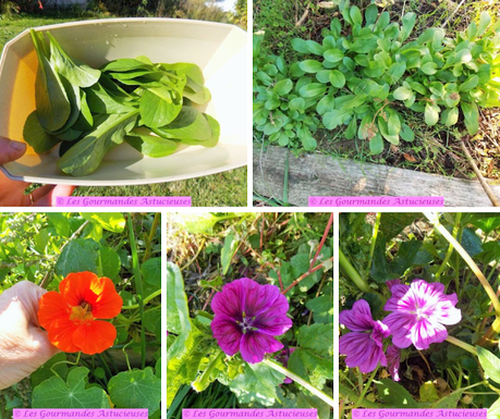 Pâtisson farci complet et hyper savoureux (Vegan)