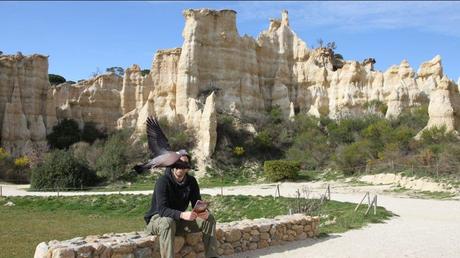 La France - Ille sur Têt