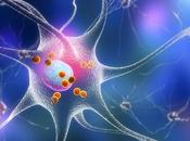 PARKINSON remplacement neurones fait preuve concept