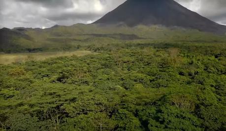 Il faut protéger les forêts du Costa Rica (vidéo)