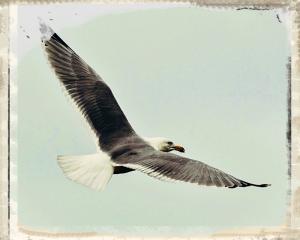 Béatrice Marchal | Gardé vivant