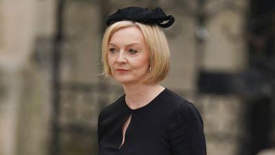 La Durée de Vie d'une Laitue en Présentoir La Durée de Vie d'une Laitue en Présentoir