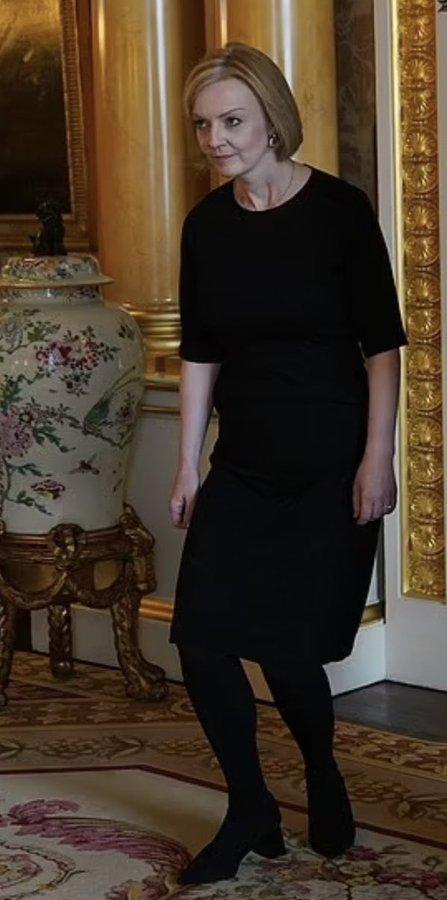 La Durée de Vie d'une Laitue en Présentoir La Durée de Vie d'une Laitue en Présentoir