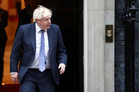 La Durée de Vie d'une Laitue en Présentoir