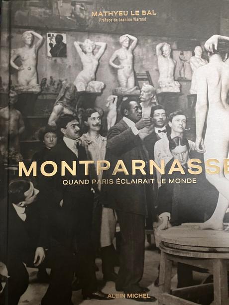 Montparnasse (Quand Paris éclairait le monde) de Mathieu Le Bal -une préface de Jeanine Warnod.
