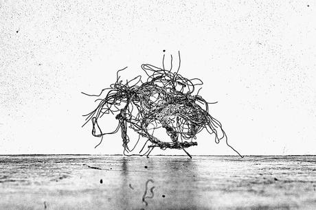 CHRISTOPHER WOOL – BAD RABBIT